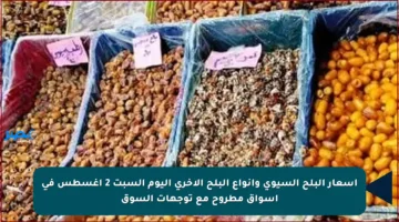 أسعار البلح السيوي وأنواع البلح الأخرى اليوم السبت 2 أغسطس في أسواق مطروح مع توجهات السوق